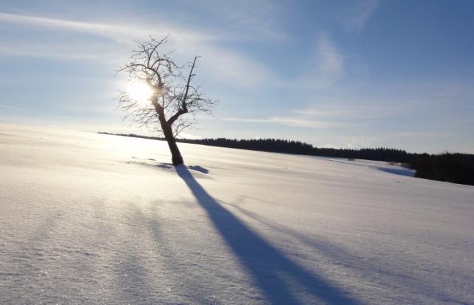 Die damit einhergehende skandinavische Kaltluft führte in Hessen nach Angaben des DWD im Dezember zu einer außergewöhnlich niedrigen mittleren Lufttemperatur von