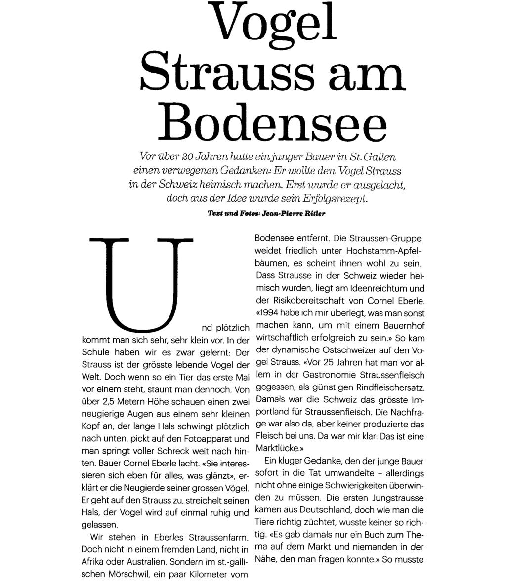 Ausschnitt Seite: 1/7 Vogel Strauss am Bodensee Vor über 20 Jahren hatte ein junger Bauer in St. Gallen einen verwegenen Gedanken: Er wollte den Vogel Strauss in der Schweiz heimisch machen.