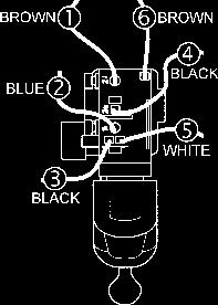 Unterseite, an schwarz Verbindung zwischen Entstörkondensator und Schalter Unterseite, an oder a schwarz Verbindung zwischen Entstörkondensator und Schalter