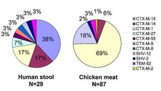 Tierhaltung 25 % Humanmedizin als Ursprung