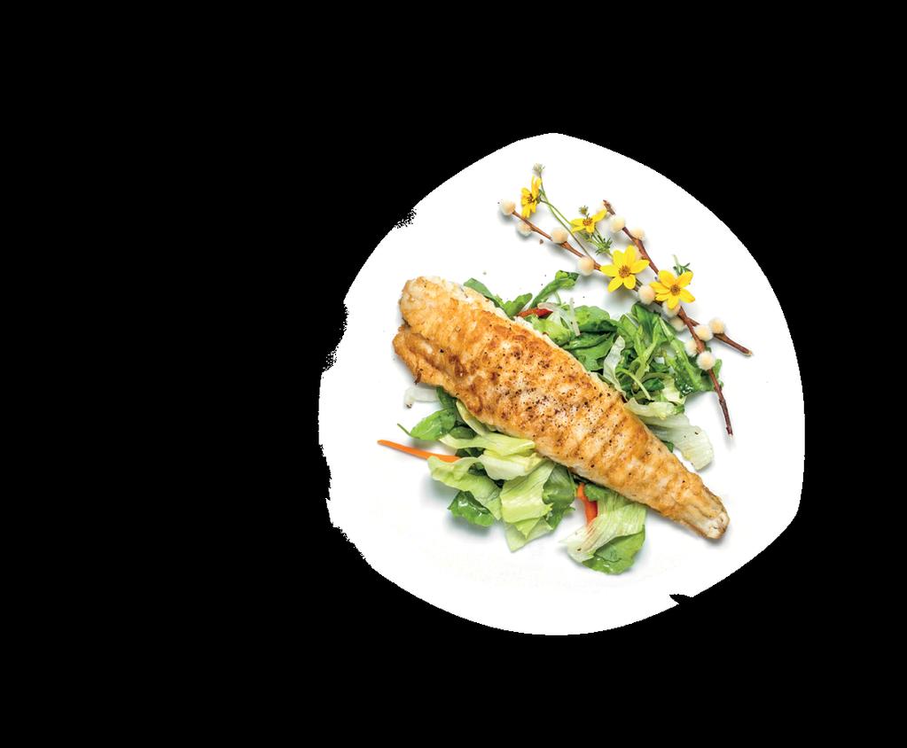 M8 Entenbrust, kross gebraten angerichtet auf einem Obst- und Gemüsebett, serviert mit Mangosoße (G1) M12 Filet vom Kap-Seehecht knusprig auf der Haut gegrillt, serviert mit grünem Salat und