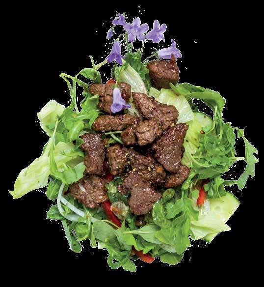 Erlesene SALATE 11 Grüner gemischter Salat mit eingelegten Sojakeimlingen (F) 5,90 12 Chicken-Salat bunte Salatmischung mit