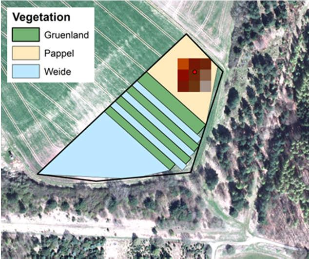 Modellierungsansatz Modellierung auf Plotebene Parametrisierung von KUP Boden Landbedeckung Bodenhydrologische Messungen Klima Ableitung der