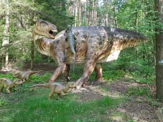 Dino-Park in Münchehagen Naturdenkmal Saurierfährten mit über