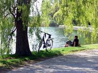 Die Residenzstadt Neustrelitz,Waren am Müritzsee oder Plau am gleichnamigen See sind interessante Städte.