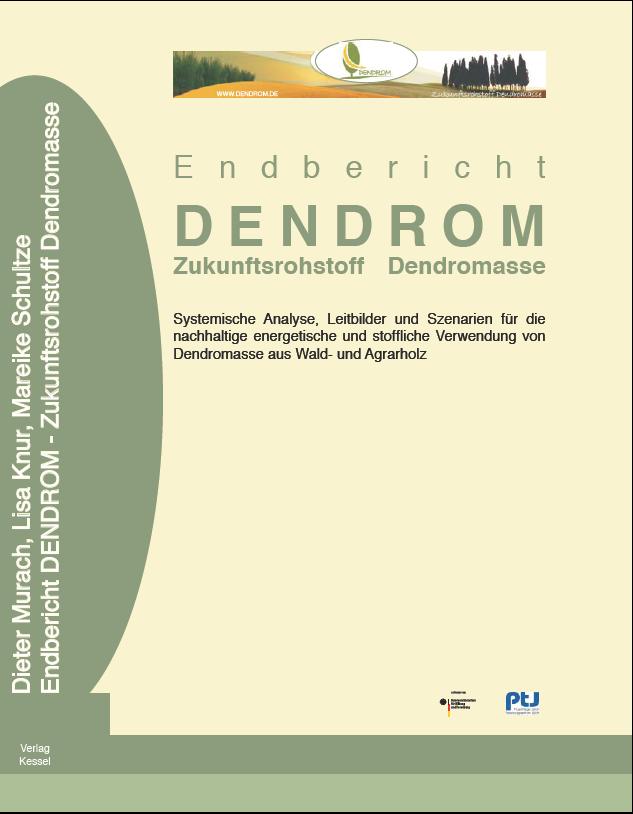 Projekt DENDROM (2005 2008) Ziel: Erarbeitung ganzheitlicher Strategien und Handlungskonzepte zur nachhaltigen Bereitstellung von Holz aus dem Wald und