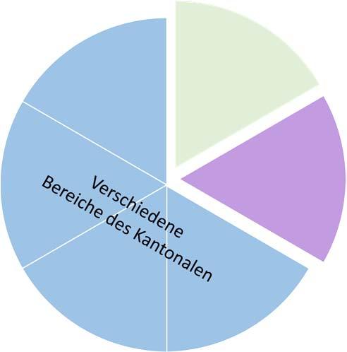 Interventionsstelle IRE Projektidee zur Verhinderung/Bekämpfung von Radikalisierung und gewalttätigem Extremismus Vernetzung mit ausländischen Organisationen (z.b.