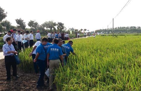 Das Projekt Seit August 2015 fördert das Bundesministerium für Ernährung und Landwirtschaft über sein bilaterales Kooperationsprogramm das Projekt Deutsch-Chinesischer Ackerbau- und