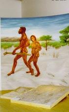 Aus den Fakultäten opithecus africanus, d.h. südlicher Affe aus Afrika. Der Schädel selber wurde unter der Bezeichnung Kind von Taung bekannt.