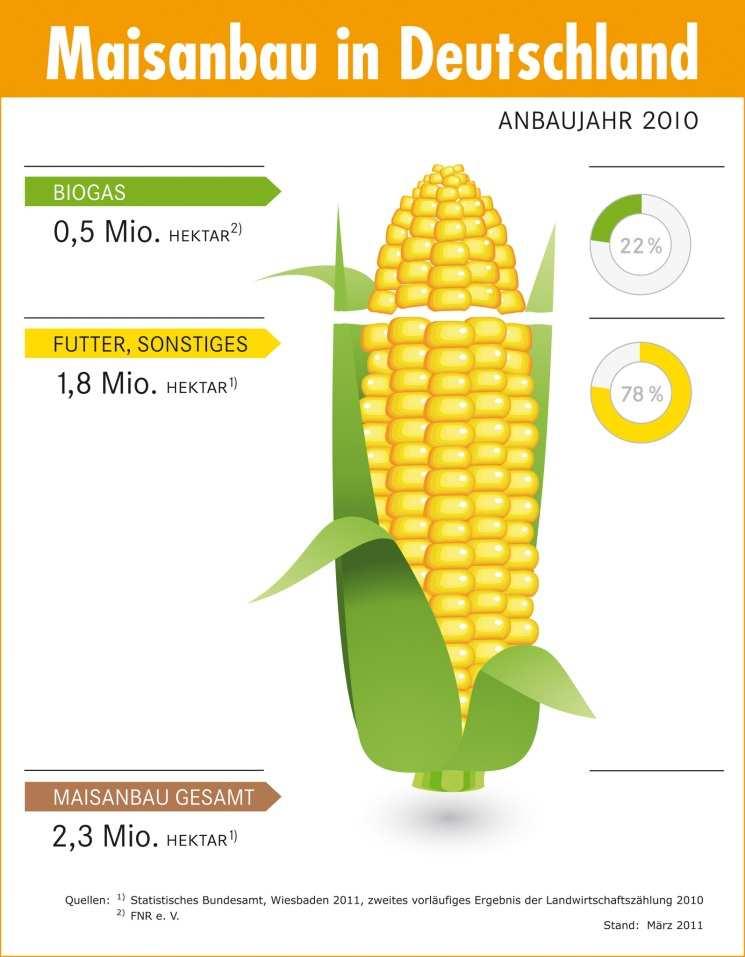 Futterflächen nehmen zu wegen wachsender Tierbestände Landwirtschaftliche Nutzflächen in Deutschland 2011 landwirtschaftliche Nutzfläche 16,7 Mio. ha - davon Ackerland 11,9 Mio.