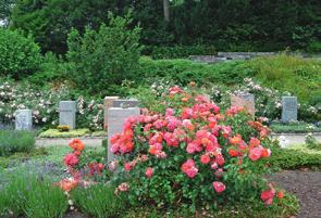 Belegung Die parkartigen Rosenwahlgrabstätten bieten eine bedarfsgerechte Nutzung. Bei Urnenwahlgrabstätten ist die Beisetzung von bis zu vier Urnen möglich.