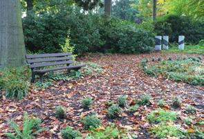Der Eichenhain Gemeinschaftsgrabanlage Belegung Pro Grabstätte gibt es Platz für eine Urne.