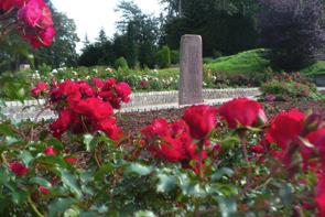 Der Rosenhain Gemeinschaftsgrabanlage Belegung Pro Grabstätte gibt es Platz für eine Urne.