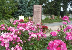 Die Rosenhaingrabstätte wird für eine Ruhezeit von 25 Jahren überlassen und ist in Ihrer Nutzung nicht verlängerbar.