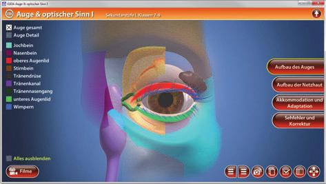 Arbeitsbereiche und Filme für Klassen 7-9 Aufbau des Auges Nach der Auswahl Klassen 7-9 öffnet die 3D-Software mit dem ersten Arbeitsbereich Aufbau des Auges.
