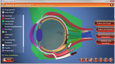 Auge & optischer Sinn I (Biologie, Sek. I, Kl. 5-9) Diese Software bietet einen virtuellen Einblick in das menschliche Auge.