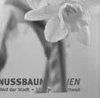 unserer Homepage herunterladen: www.nussbaummedien.