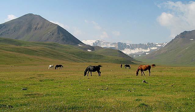 Tourcharakter & Voraussetzungen: (**) Natur- und Kulturrundreise, Kirgisien besticht durch eine unglaubliche Landschaftsvielfalt. Dazu die Abgelegenheit, die uns Ruhe, Erholung und Erlebnis bietet.
