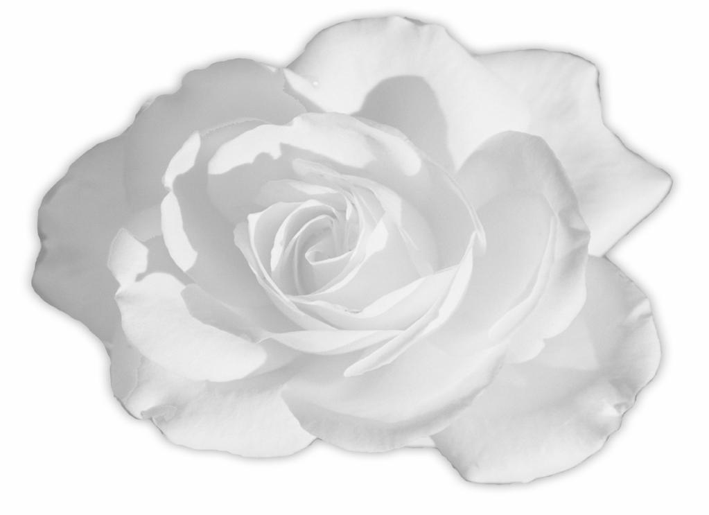Danke allen, die meiner lieben Frau Helena Mustermann 22. Februar 2010 in ihrem Leben nahestanden. Hast du Angst vor dem Tod? fragte der kleine Prinz die Rose.
