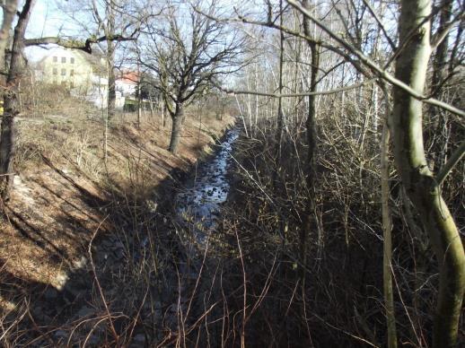 Rottmannsdorfer Dorfbach in 2015 Planungsleistungen für den Hochwasserrisikomanagementplan incl.
