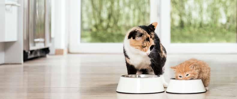 Was Katzen lieben Aktionszeitraum: 05. bis 10.02.2018. Viele dieser Angebote sind auch erhältlich im Online-Shop der Fressnapf Tiernahrungs GmbH unter fressnapf.