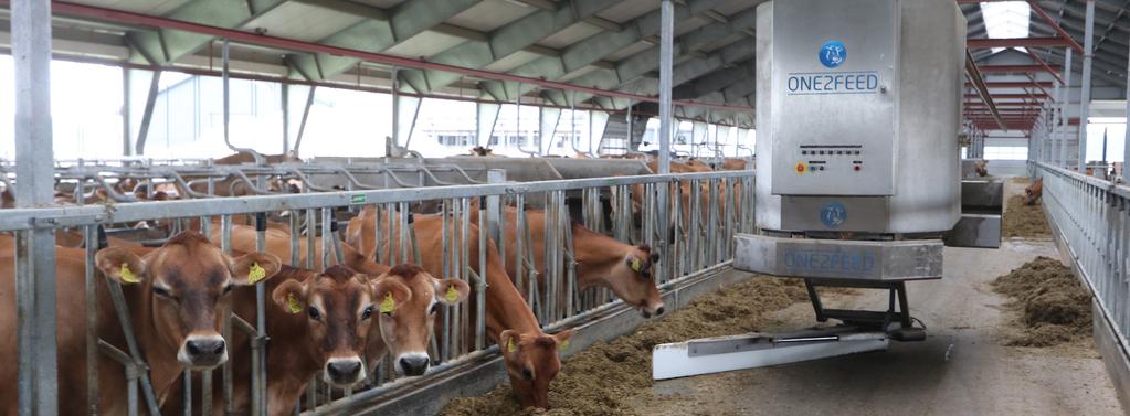3. Fütterung/Futtermittel Das Futter für die Kühe muss verschiedene Anforderungen erfüllen. Es muss einheitlich gemischt und die Futterverwertung hoch sein.