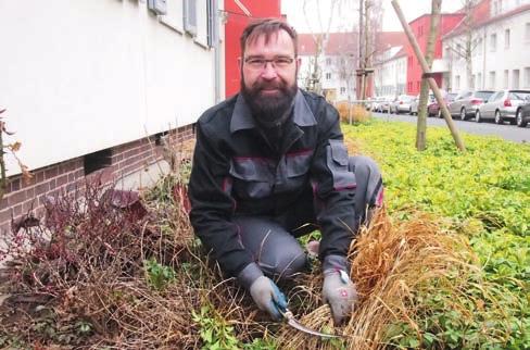 Denn wir haben mit Thomas Trenck, als ausgewiesenen Gartenexperten, zu Beginn dieses Jahres einen Gärtner eingestellt, damit er sich mit Herz und ganzer Kraft den Außenanlagen der 1893 widmen kann.