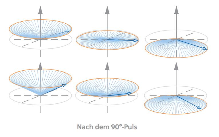90 -Puls Nach einem 90 -Puls wird die Magnetisierung in die Querrichtung (xy-ebene) gekippt Am Ende des 90 -Pulses zeigen alle Spins in dieselbe Richtung in der xy-ebene (sie sind phasengleich in