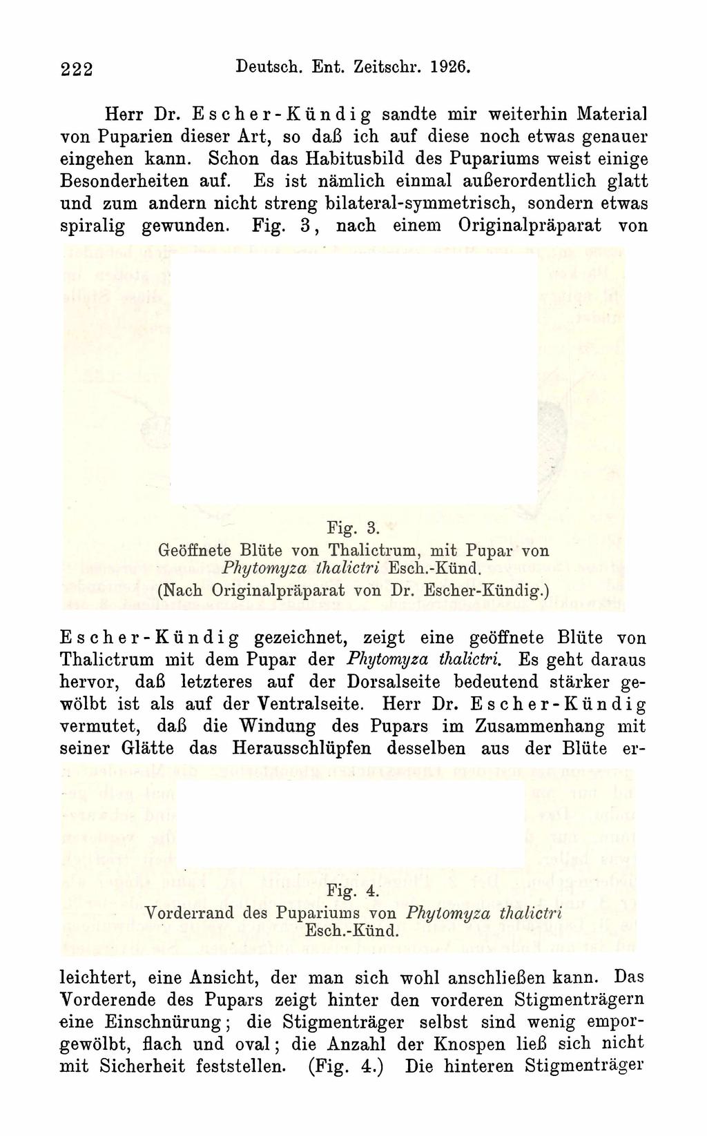 2 2 2 Deutsch. Ent. Zeitschr. 1926. Herr Dr. Escher-Kündig sandte mir weiterhin Material von Puparien dieser Art, so daß ich auf diese noch etwas genauer eingehen kann.
