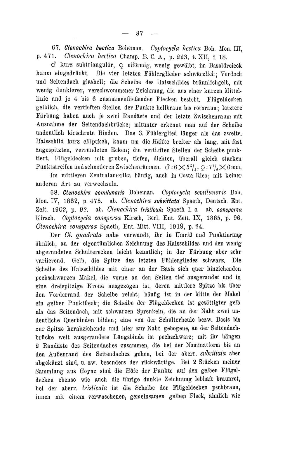 87 67. Ctenochira hectica Boheman. Coptocycla heetka Boli. Mon. III, p. 471. CtenocMra hectica Champ. B. C. A., p. 223, t. XII, f. 18.