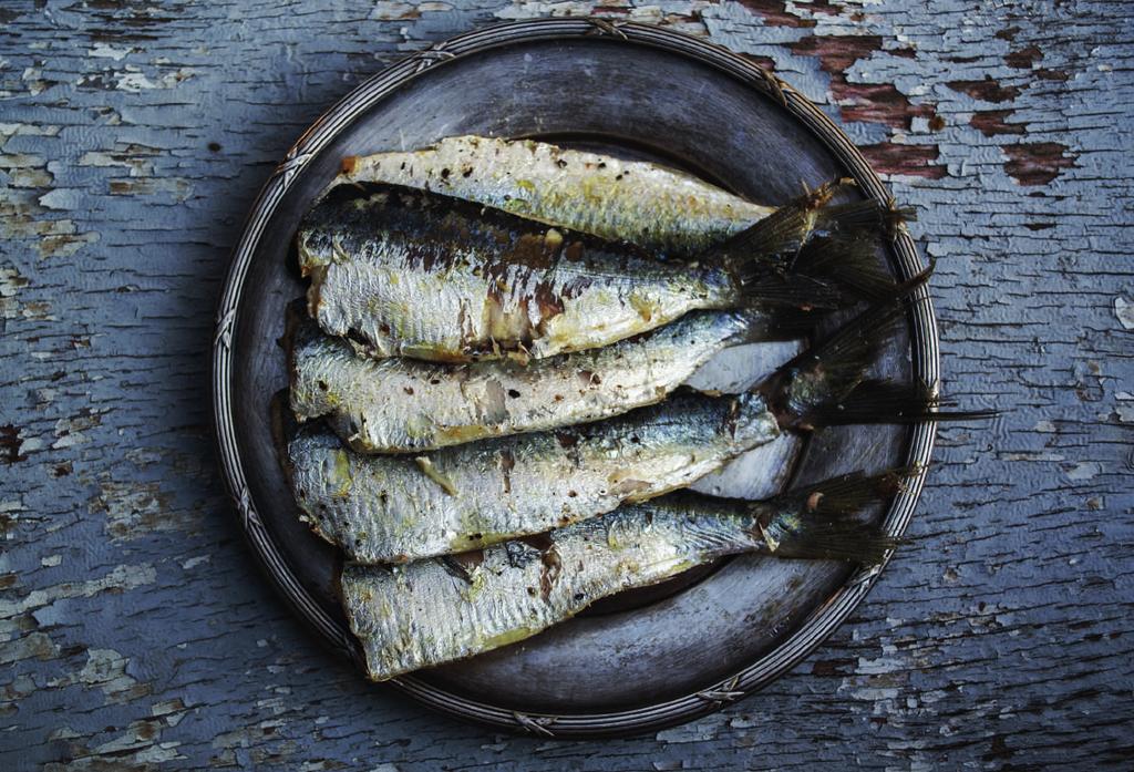 ganze fische sardine ganz sardine ohne kopf sardina