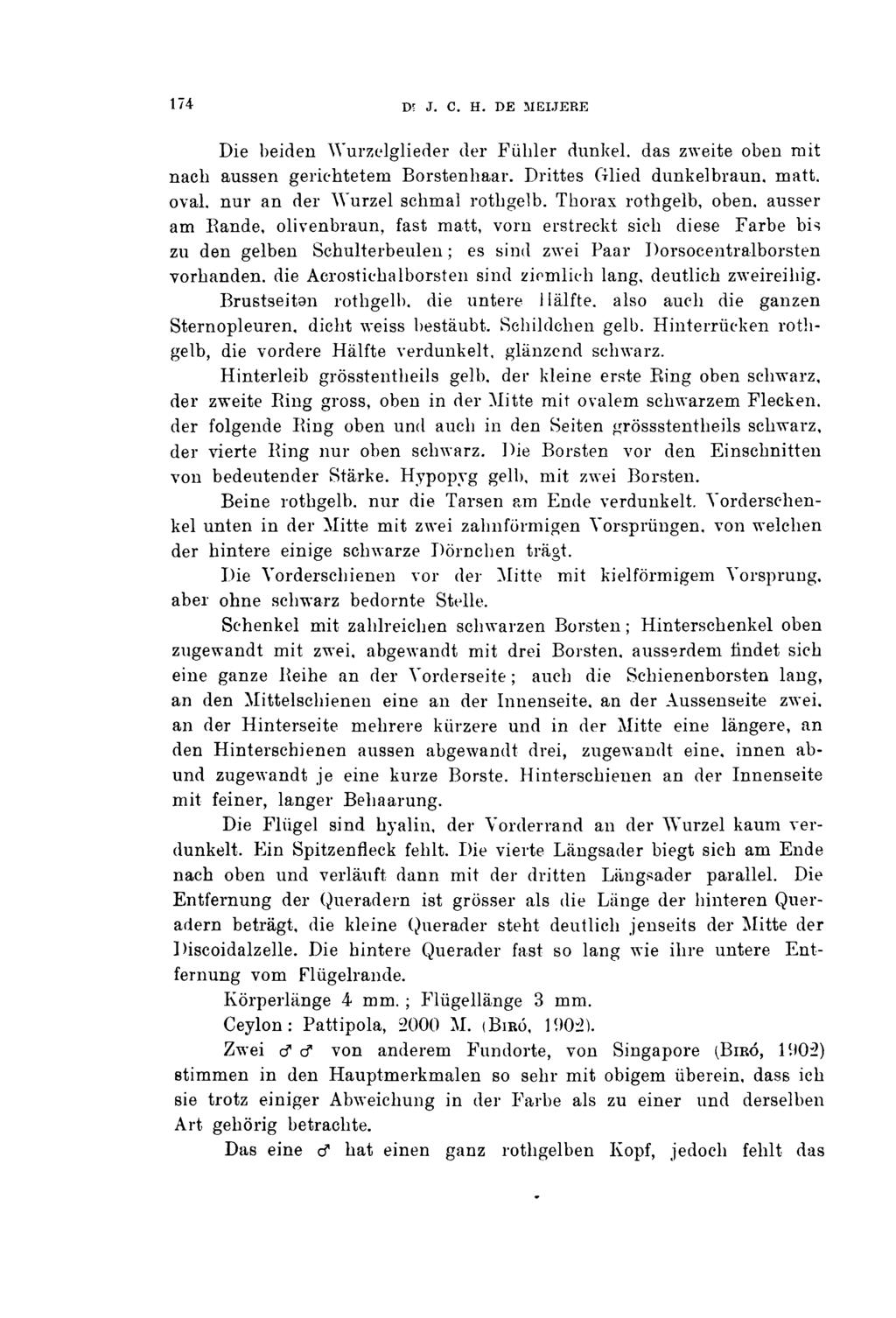 174 d; j. c. h. de meijere Die beiden Wurzelglieder der Fühler dunkel, das zweite oben mit nach aussen gerichtetem Borstenhaar.