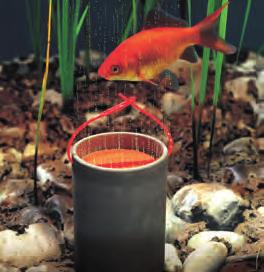 99 UNSER TIPP: Optimale Sauerstoffversorgung für Ihre Fische Erleichtern Sie sich die