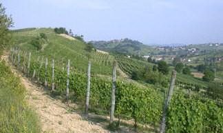 Nach seiner Rückkehr nach Italien war er einige Jahre als önologischer Berater tätig, bevor er Ende 1996 das kleine Weingut Villa Terlina kaufte, wo er nun die im Laufe der Jahre gesammelten