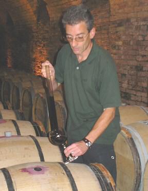 2013 Barbera d Asti GRADALE 13,50 (1 l = 18,00) 14,5% / 0,75 l / Rotwein / trocken / DOCG Der GRADALE ist ein wunderbarer Stoff aus 100% biodynamischen Anbau, der von durchschnittlich 40 Jahre alten