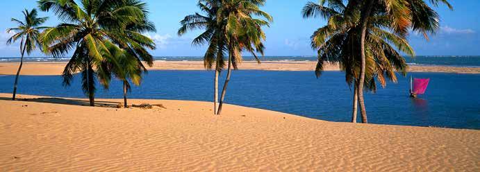 23 Aussichtsturm Praia do Gunga, von wo aus Sie einen traumhaften Blick auf das tükisblaue Meer und die umliegenden Kokospalmenplantagen haben. Der nächste Halt ist die Ortschaft Barra de São Miguel.