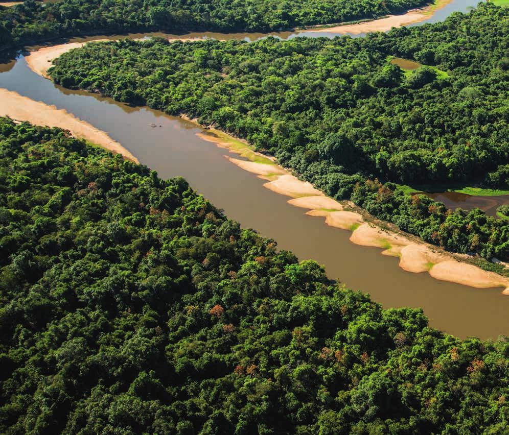 26 Pantanal Das Pantanal ist das größte Sumpfgebiet der Welt. In seinen Wäldern, Flüssen und Seen explodiert das Leben geradezu: Unzählige Tierarten teilen sich dieses 210.000 km² große Paradies.