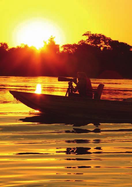 privater Transfers und Ausflüge mit Guide und Vollpension Jaguar-Boot (ab/bis Porto Jofre) Pantanal Nord und Amazonas 7 Tage/6 Nächte Bei dieser Reise erwarten Sie landschaftliche High lights