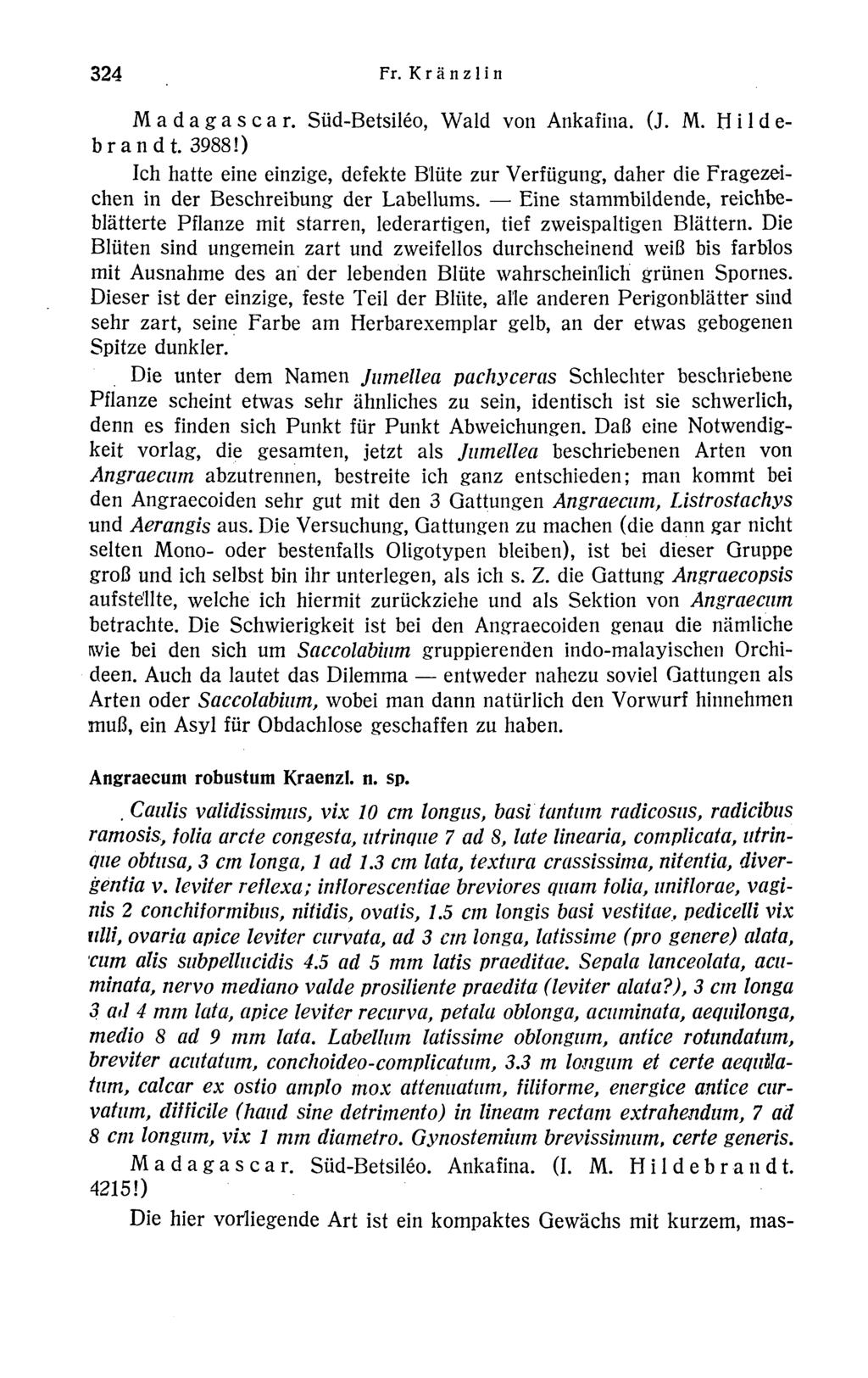 324 Fr. K r ä n z 1 i n M a d a g a s c a r. Süd-Betsiléo, Wald von Ankafina. (J. M. H i 1 d e- brandt. 3988!