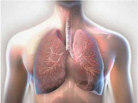 SYMBICORT SMART behandelt die Entzündung der Atemwege mit jeder