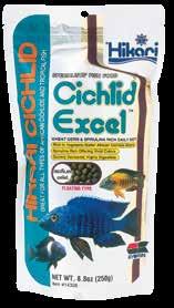 Tropisch Das beste Futter für pflanzenfressende Cichliden! Cichliden sind bekannt für ihre Farbenpracht und das macht diese Art so beliebt als Aquarienfisch.