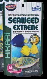 Seaweed Extreme ist das ideale Ergänzungsfuttermittel für die meisten pflanzenfressenden Fische, aber es ist auch für Alles fresser wie