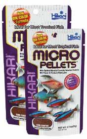 Tropisch Hikari Micro, weil Sie auch für Ihre kleinen Fische das beste Futter wünschen!