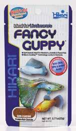 Guppys sind wahrscheinlich die bekanntesten und meistverkauften tropischen Fische. Welcher Aquarien liebhaber hat nicht mit Guppys begonnen?