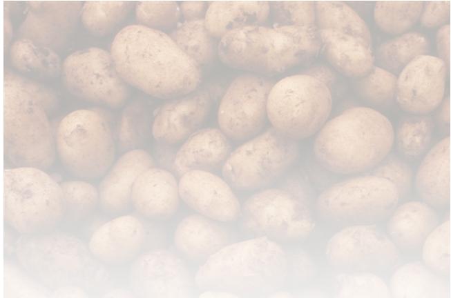 Kommentar: Inländische Frühkartoffeln waren reichlich vorrätig und dominierend. Die Zufuhren aus dem Süden Europas, nur noch eine Randerscheinung, schränkten sich fortlaufend ein.