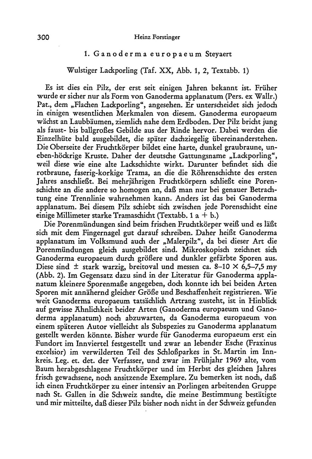 300 Heinz Forstinger 1. Ganoderma europaeum Steyaert Wulstiger Lackporling (Taf. XX, Abb. 1, 2, Textabb. 1) Es ist dies ein Pilz, der erst seit einigen Jahren bekannt ist.