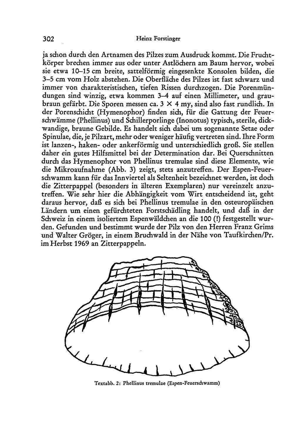 302 Heinz Forstinger ja schon durch den Artnamen des Pilzes zum Ausdruck kommt.