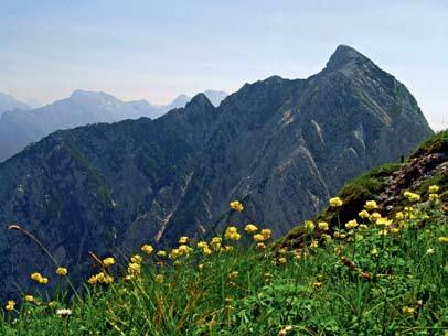 greben v jugovzhodno smer, kamor se najprej spusti na sedlo Campidello, 1461 m. Lopič in Javor sta v prvi vrsti cilja pohodnikov. Razen glavnega vrha je celotno območje zelo redko obiskano.
