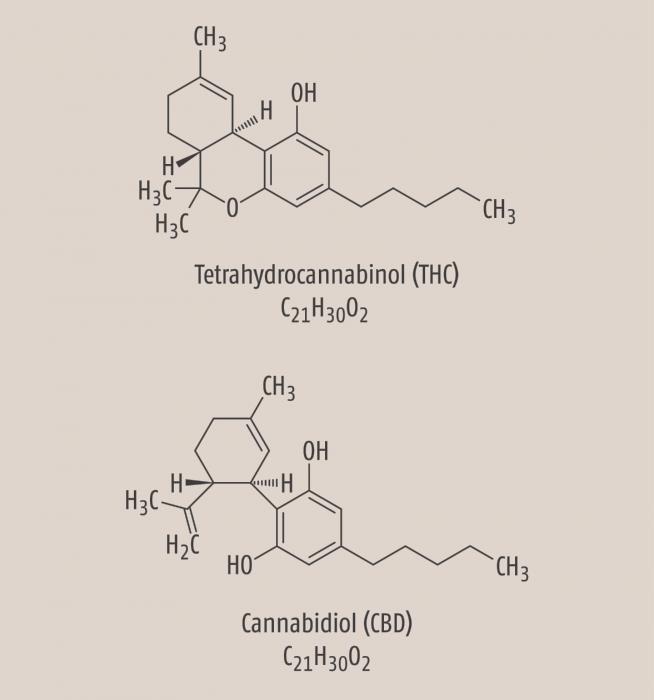 Cannabis-Hauptwirkstoffe THC vielseitger Einsatz, komplexe Wirkungen Analgetisch, antispastisch CBD wie