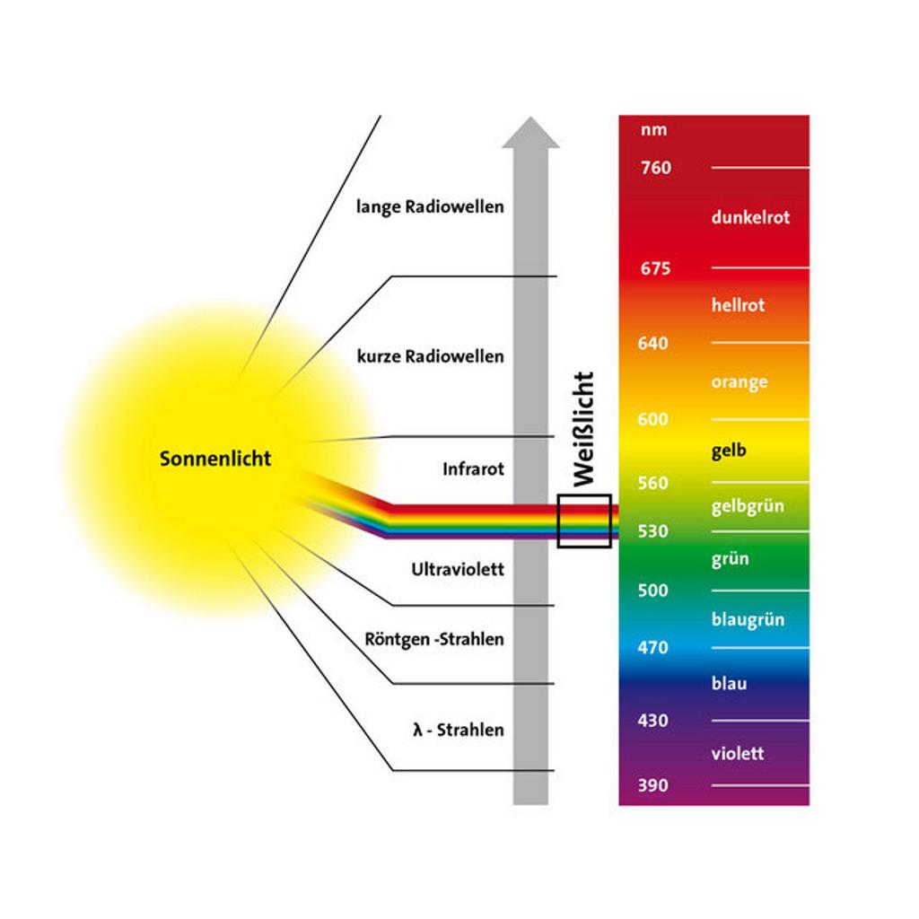 Abb. 1: Weißlicht setzt sich aus einer Mischung von elektromagnetischer Strahlung mit unterschiedlichen Wellenlängen im Bereich von 390 bis 780nm zusammen. 4.